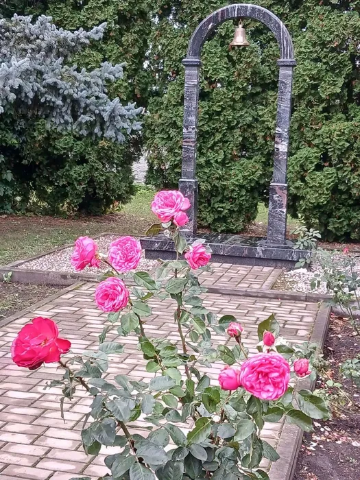 Памятник погибшим подводникам в поселке Кшенском