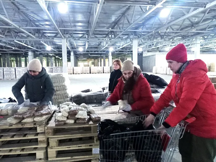 Труженицы-пчелки