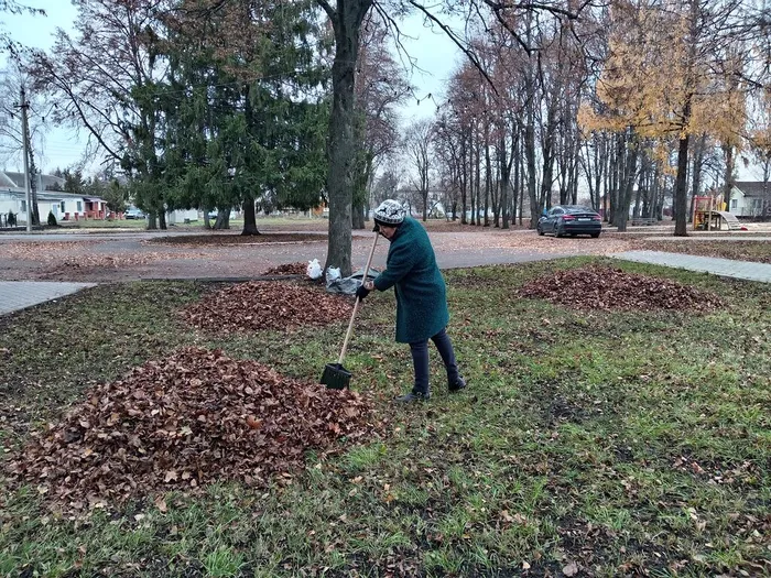 Убираем парк возле Советского ДНТ
