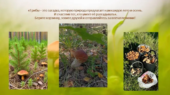 Слайд5