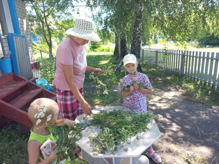 Учимся плести венок из полевых цветов_