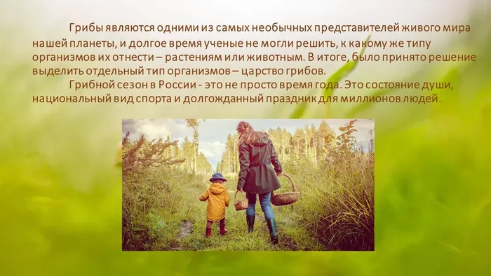Слайд2