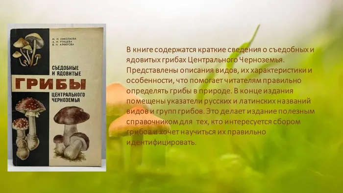 Слайд3